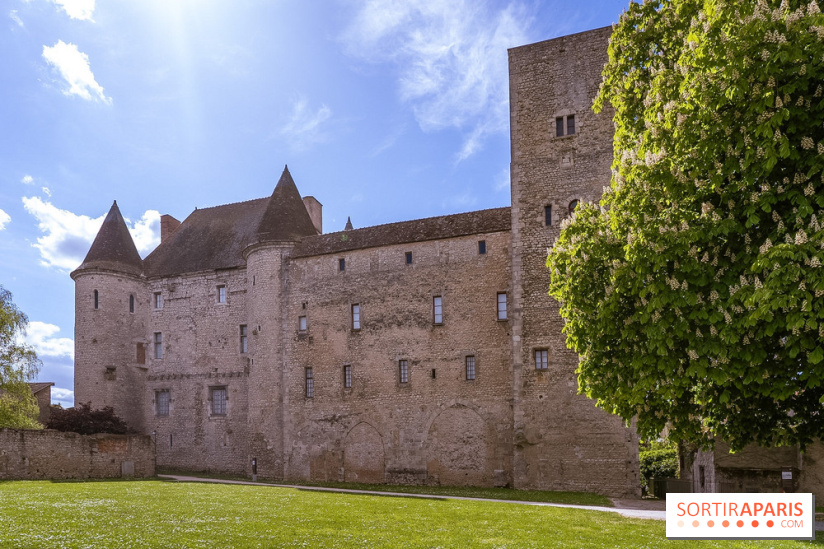 Château Musées de Nemours en Seine-et-Marne - photos - A7C04861