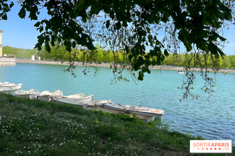 Les barque de l'Etang aux Carpes, à Fontainebleau - nos photos