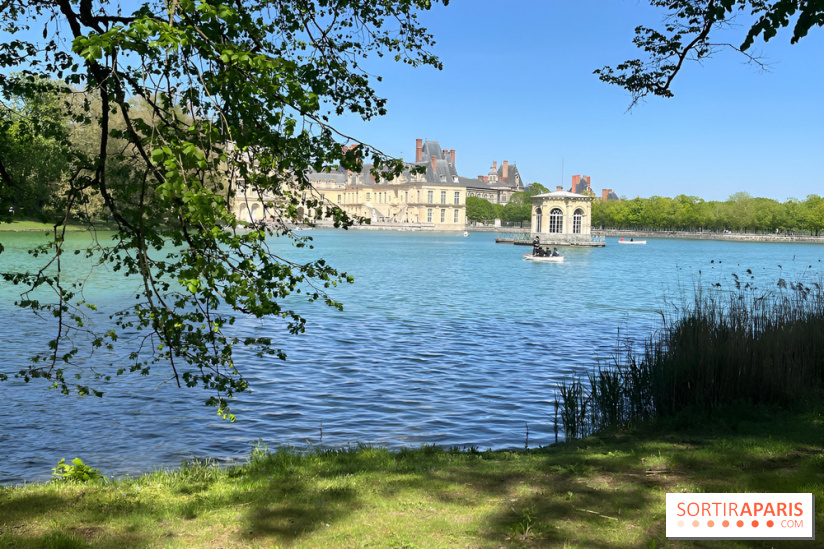 Les barque de l'Etang aux Carpes, à Fontainebleau - nos photos