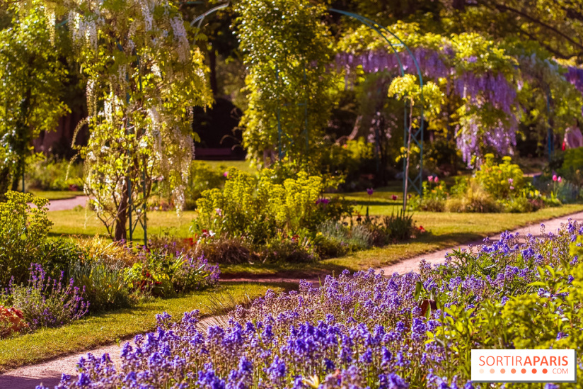 Le Parc des Ibis au Vésinet dans les Yvelines en Région Parisienne - photos  - A7200696