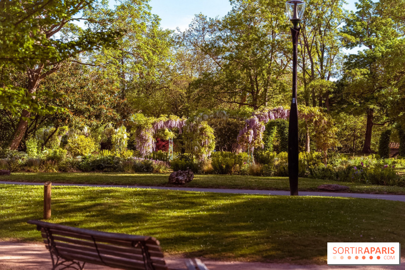 Le Parc des Ibis au Vésinet dans les Yvelines en Région Parisienne - photos  - A7200633