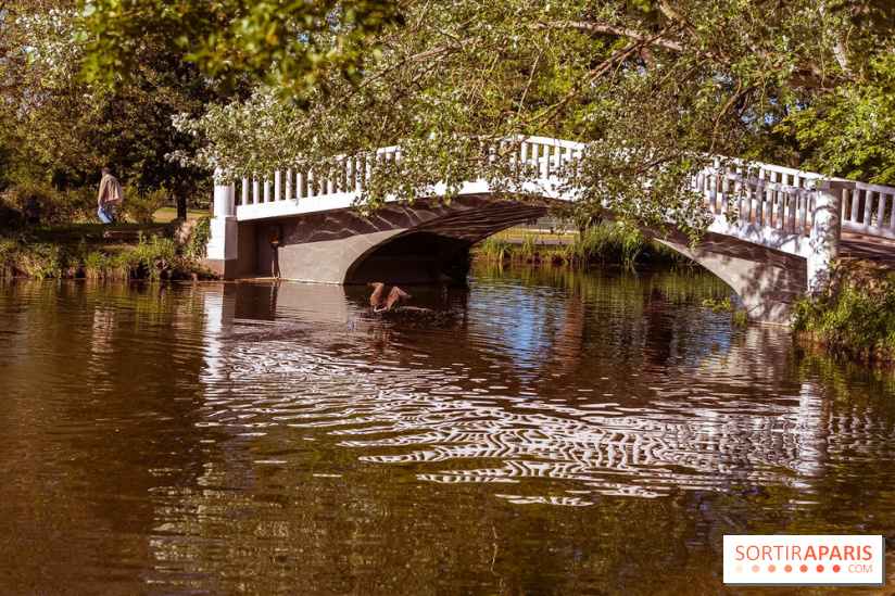 Le Parc des Ibis au Vésinet dans les Yvelines en Région Parisienne - photos  - A7200605