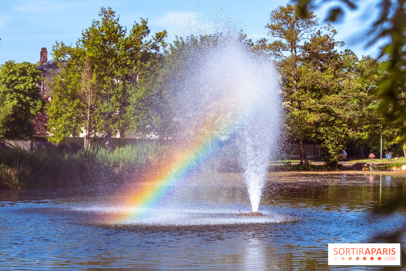 Le Parc des Ibis au Vésinet dans les Yvelines en Région Parisienne - photos  - A7200622