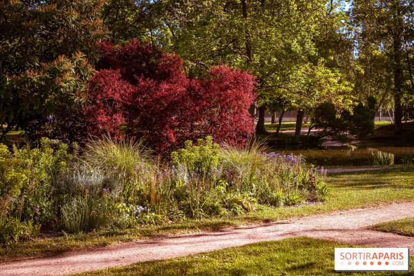 Le Parc des Ibis au Vésinet dans les Yvelines en Région Parisienne - photos  - A7200566