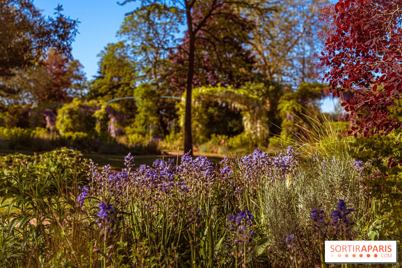 Le Parc des Ibis au Vésinet dans les Yvelines en Région Parisienne - photos  - A7200591