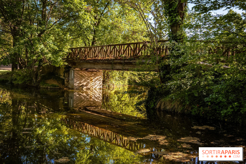Le Parc des Ibis au Vésinet dans les Yvelines en Région Parisienne - photos  - A7200598