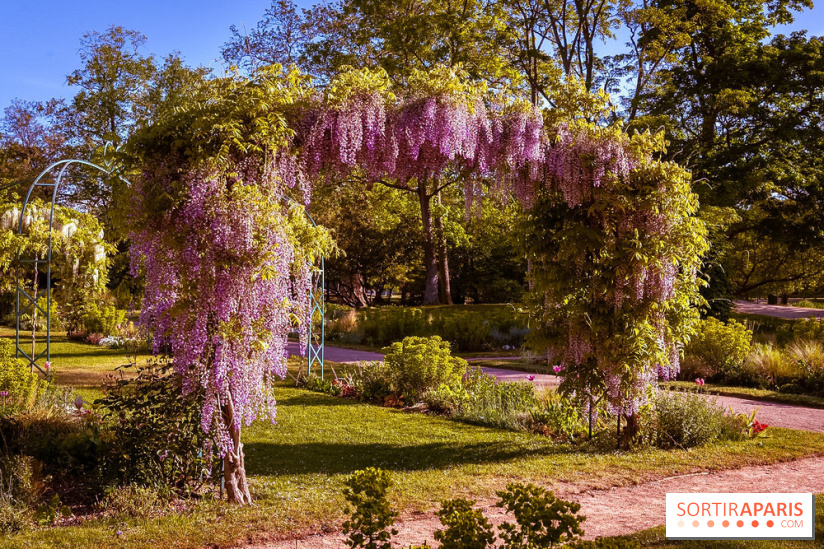 Le Parc des Ibis au Vésinet dans les Yvelines en Région Parisienne - photos  - A7200440