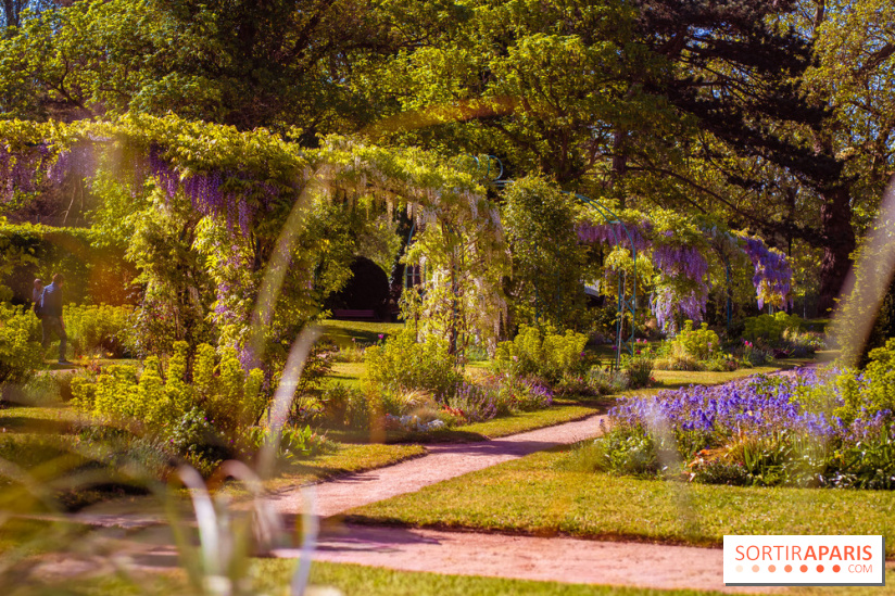 Le Parc des Ibis au Vésinet dans les Yvelines en Région Parisienne - photos  - A7200695 2