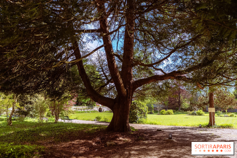 Le couvent des Carmes en Seine-et-Marne, son parc et son musée gratuit