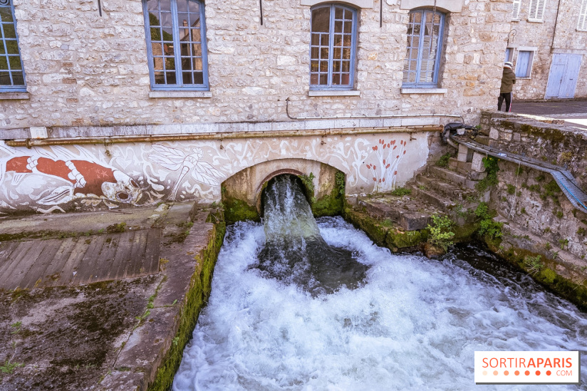 La terrasse du Moulin de Nemours, la guinguette estivale en bord de Loing 77 - A7C04883
