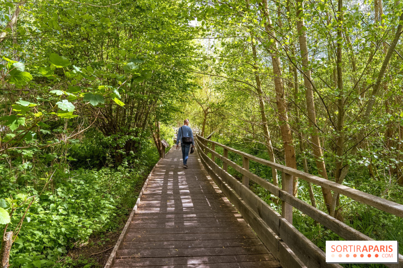 La terrasse du Moulin de Nemours, la guinguette estivale en bord de Loing 77 - A7C04919