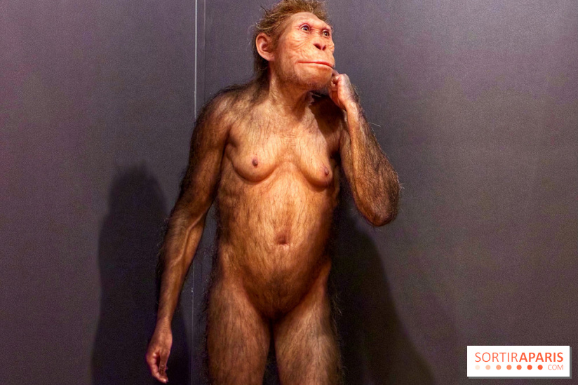 Préhistoire, entre utopie et réalité  - IMG 5555