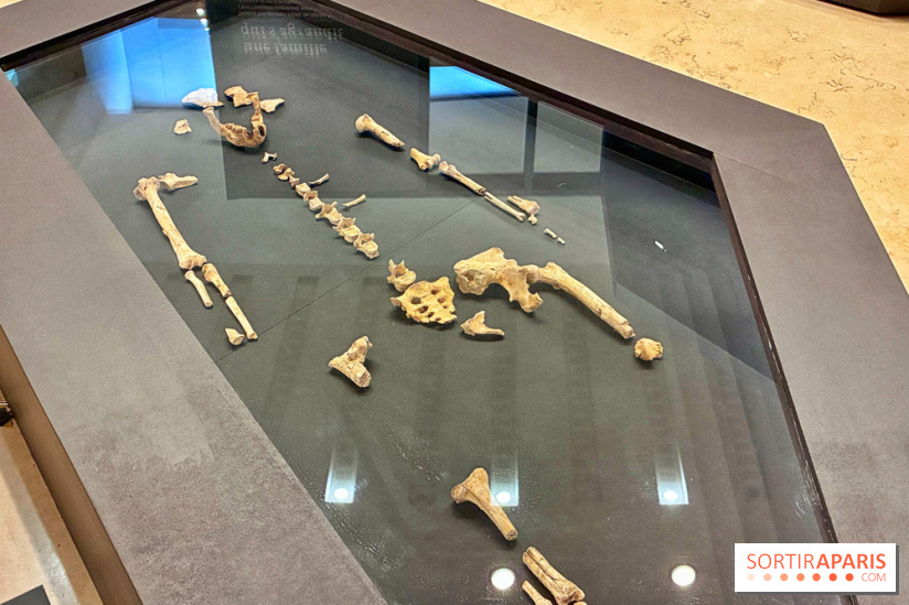 Préhistoire, entre utopie et réalité  - IMG 5563