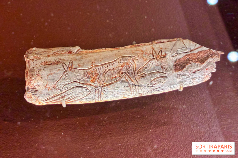 Préhistoire, entre utopie et réalité  - IMG 5569