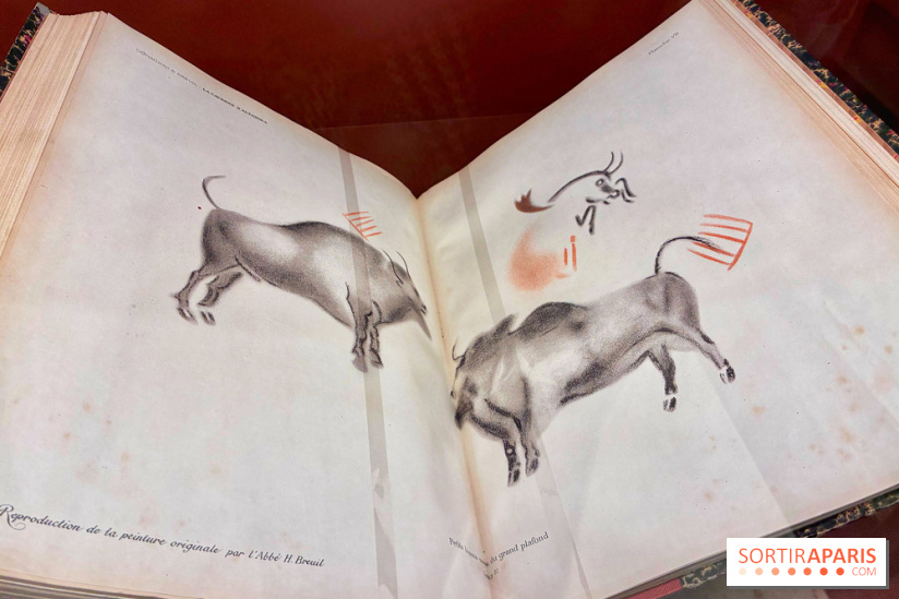 Préhistoire, entre utopie et réalité  - IMG 5581