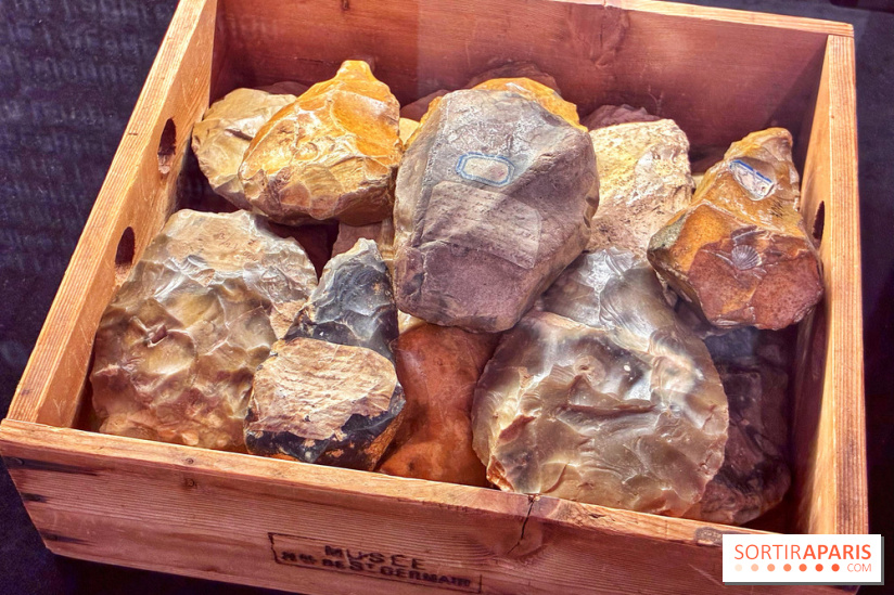 Préhistoire, entre utopie et réalité  - IMG 5589