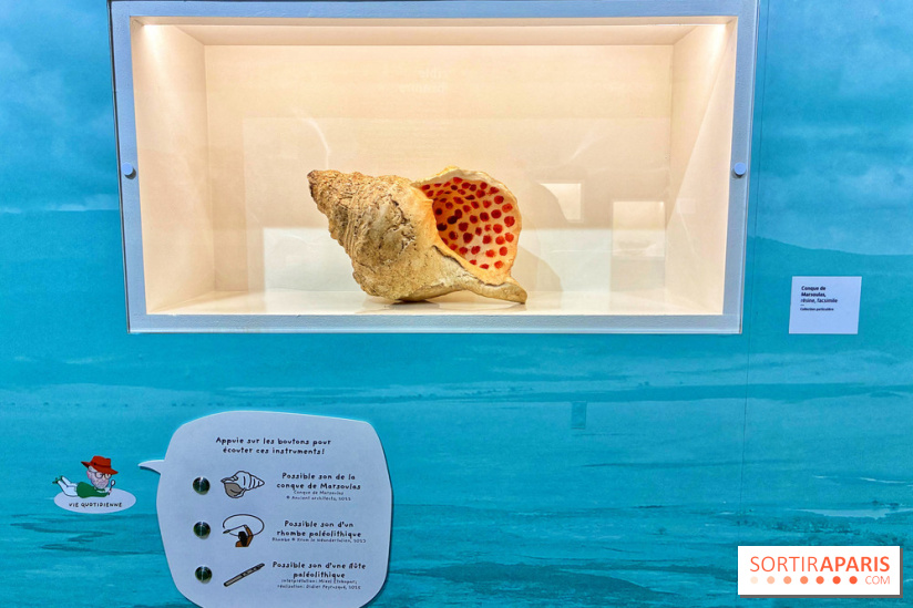 Préhistoire, entre utopie et réalité  - IMG 5624