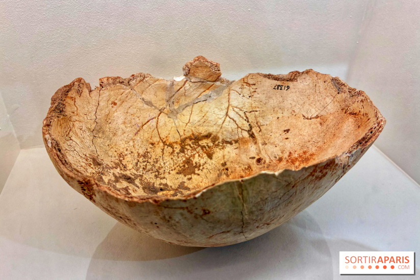 Préhistoire, entre utopie et réalité  - IMG 5627