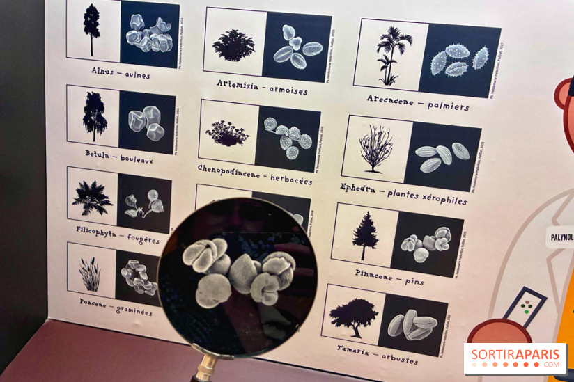 Préhistoire, entre utopie et réalité  - IMG 5646