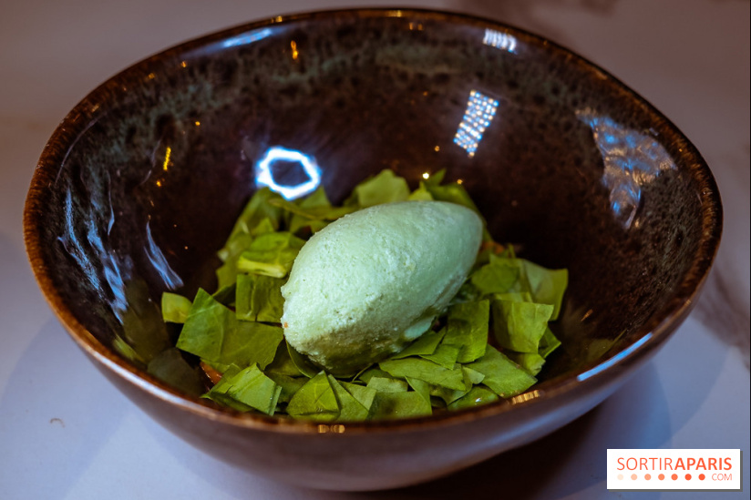 L'Orée des Sablons, restaurant à Fontainebleau - photos - dessert oseille cacahuète