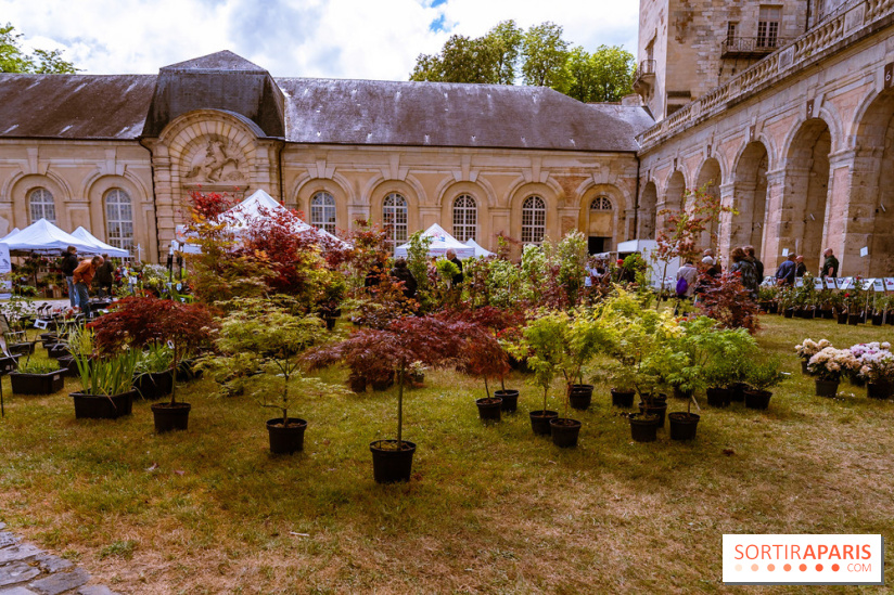 Eden, la Fête des Plantes du Château de la Roche Guyon - photos