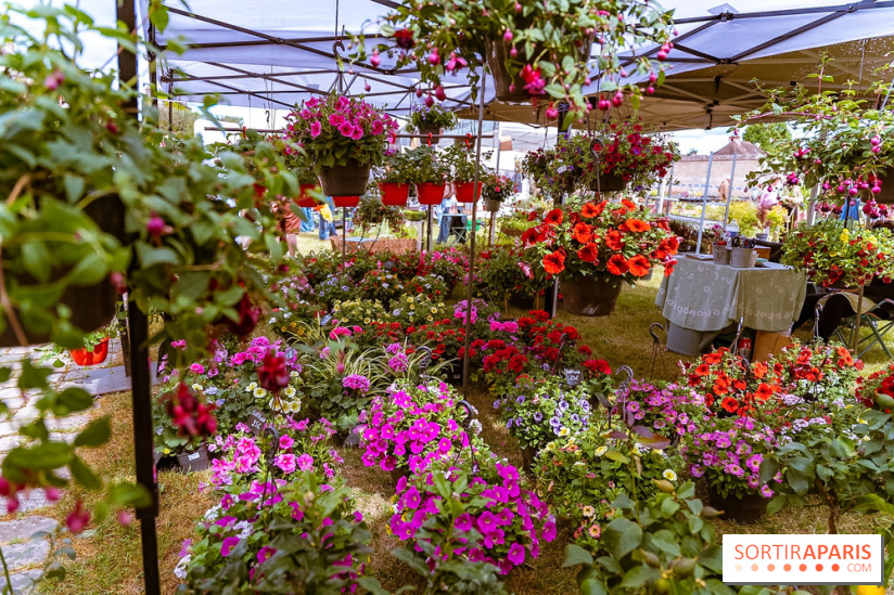 Eden, la Fête des Plantes du Château de la Roche Guyon - photos