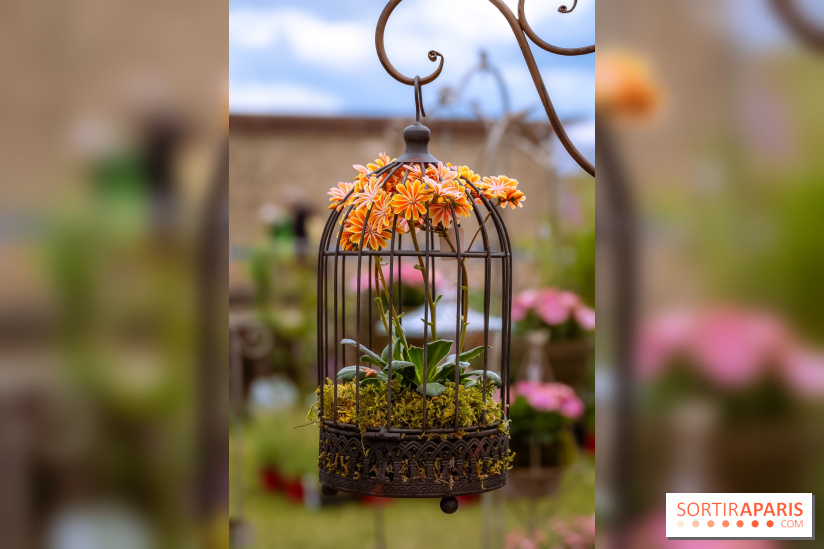 Eden, la Fête des Plantes du Château de la Roche Guyon - photos