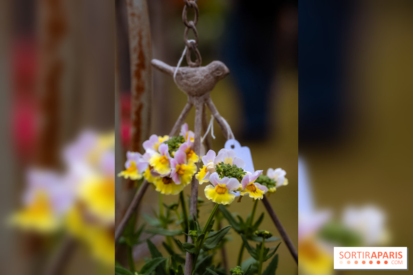 Eden, la Fête des Plantes du Château de la Roche Guyon - photos