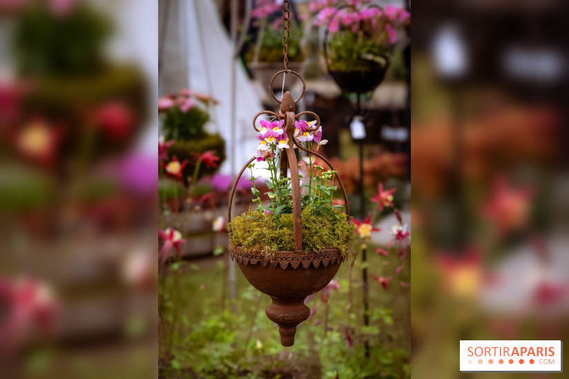 Eden, la Fête des Plantes du Château de la Roche Guyon - photos