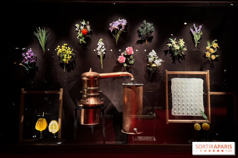 Théâtre du Parfum (Musée du Parfum)