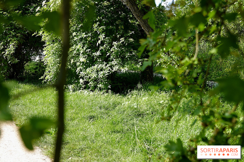 La Coulée verte de Deuil-la-Barre dans le Val-d'Oise - nos photos