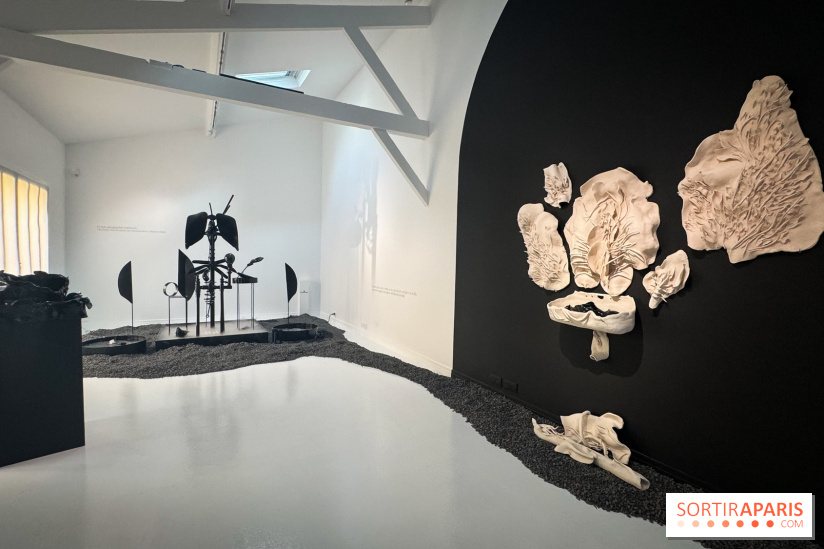 Exposition Diseuses de Silence à l'Espace Monte-Cristo