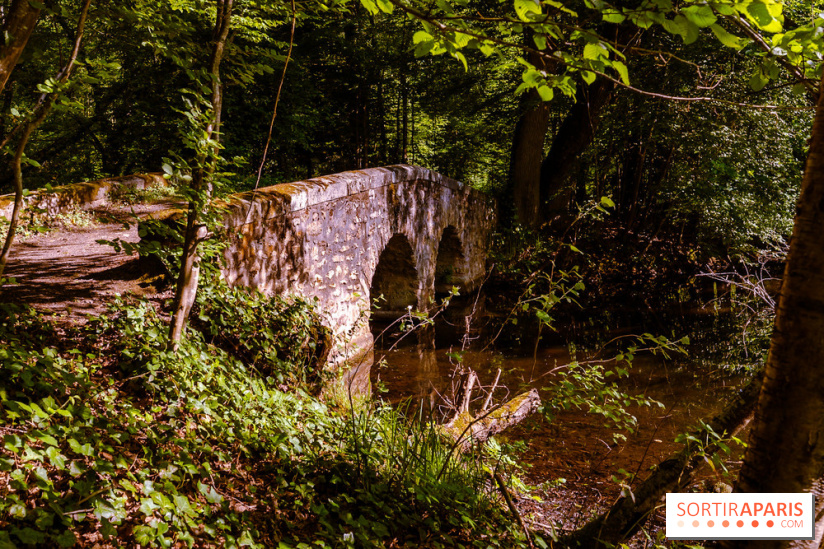 La réserve Naturelle des Etangs de Bonnelles, son pont kiosque, temple de l'amour et ses trésors