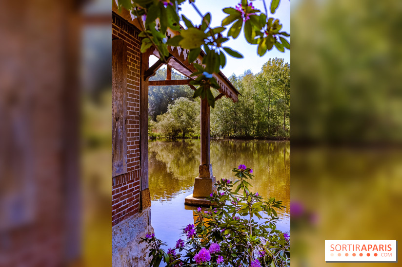 La réserve Naturelle des Etangs de Bonnelles, son pont kiosque, temple de l'amour et ses trésors