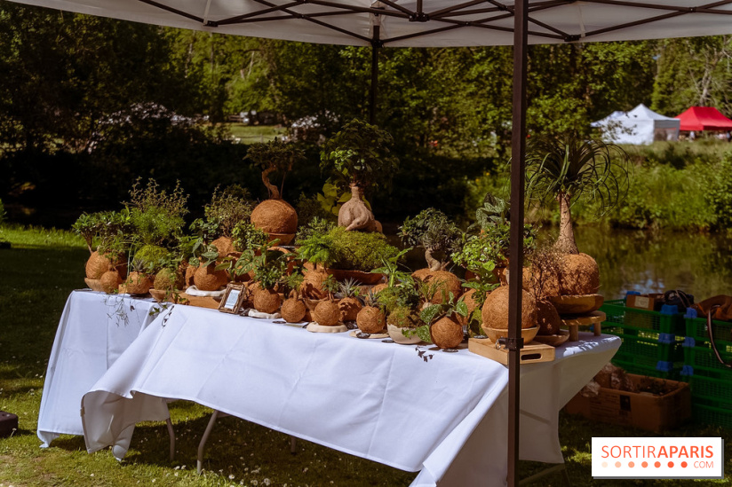 Fête des Plantes au Château de Dampierre dans les Yvelines - photos