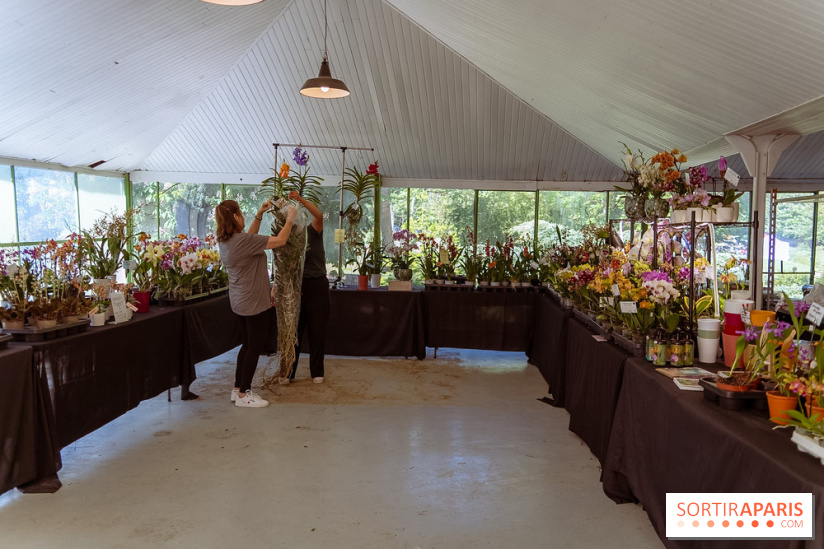Fête des Plantes au Château de Dampierre dans les Yvelines - photos