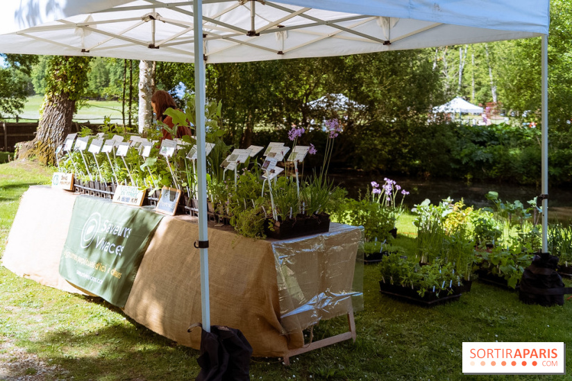 Fête des Plantes au Château de Dampierre dans les Yvelines - photos
