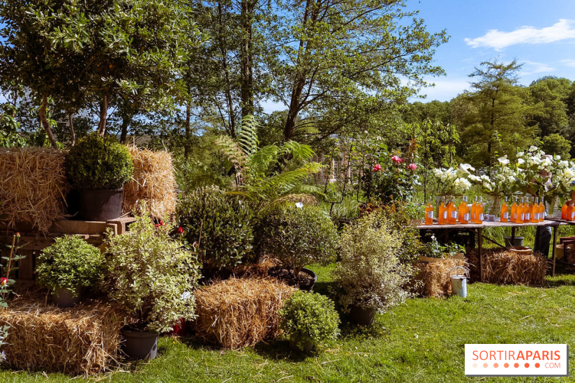Fête des Plantes au Château de Dampierre dans les Yvelines - photos