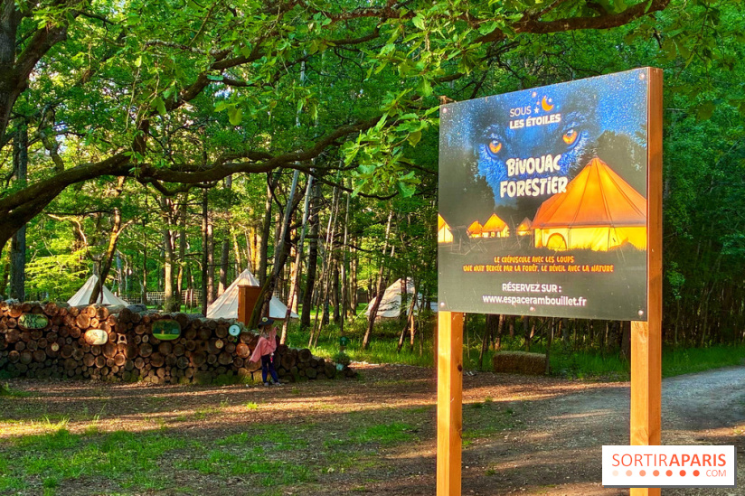 Bivouac avec les loups