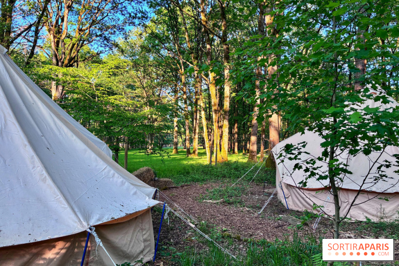 Bivouac avec les loups