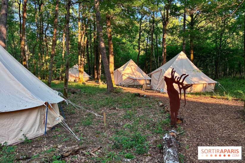 Bivouac avec les loups