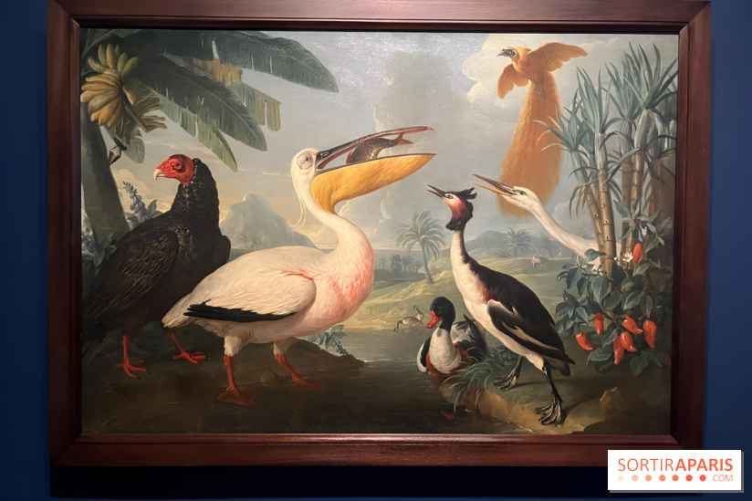 Plumes de Paradis, l'expo au musée du Quai Branly - nos photos