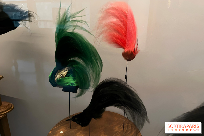Plumes de Paradis, l'expo au musée du Quai Branly - nos photos