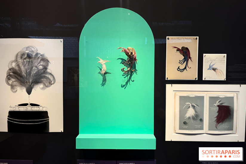 Plumes de Paradis, l'expo au musée du Quai Branly - nos photos