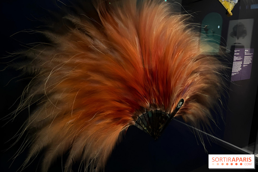 Plumes de Paradis, l'expo au musée du Quai Branly - nos photos
