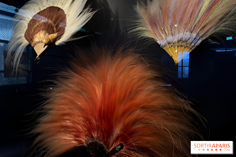 Plumes de Paradis, l'expo au musée du Quai Branly - nos photos