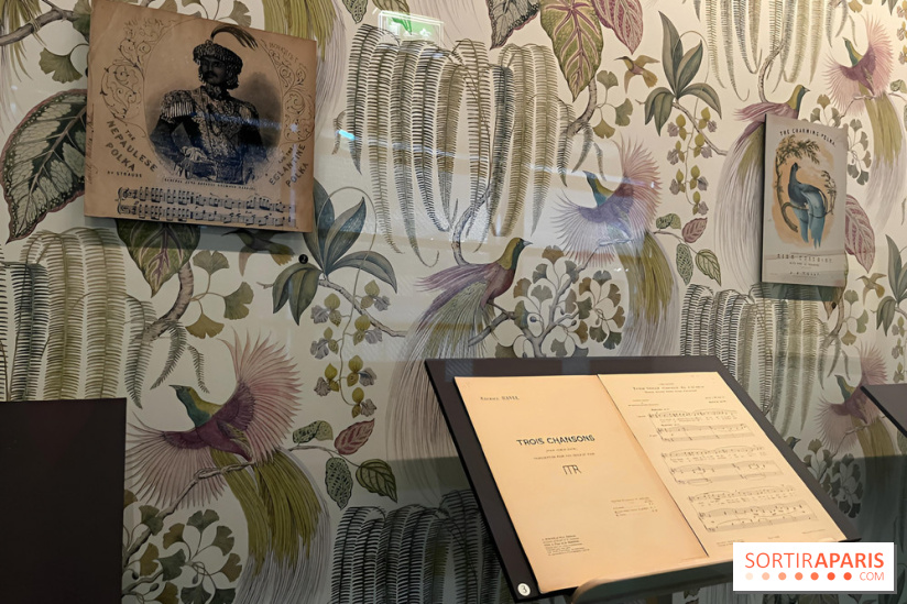 Plumes de Paradis, l'expo au musée du Quai Branly - nos photos