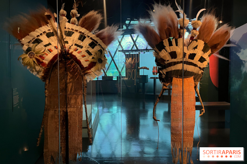 Plumes de Paradis, l'expo au musée du Quai Branly - nos photos
