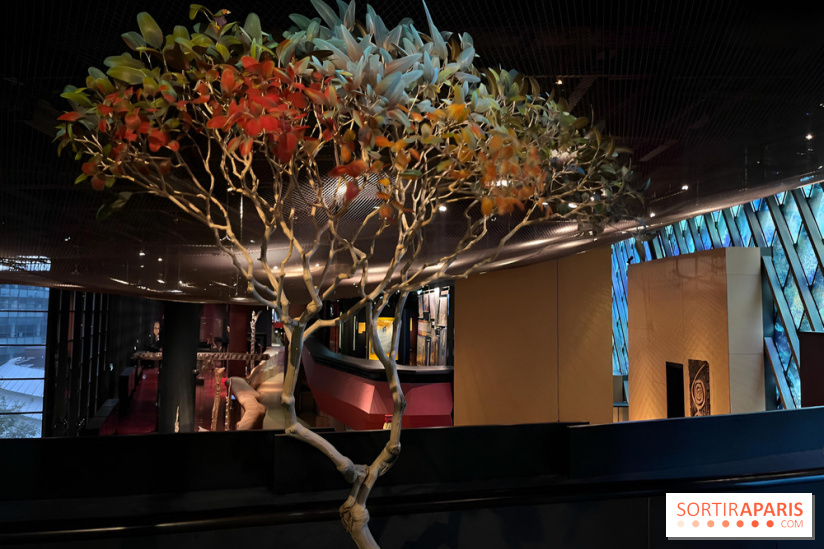 Plumes de Paradis, l'expo au musée du Quai Branly - nos photos