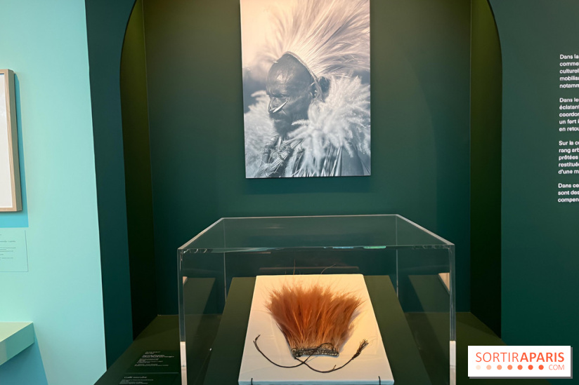 Plumes de Paradis, l'expo au musée du Quai Branly - nos photos